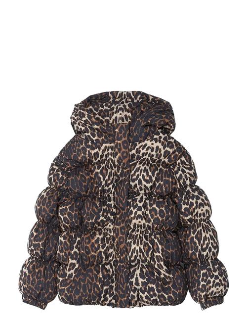 The New | Tnpuffa Jacket | 146/152