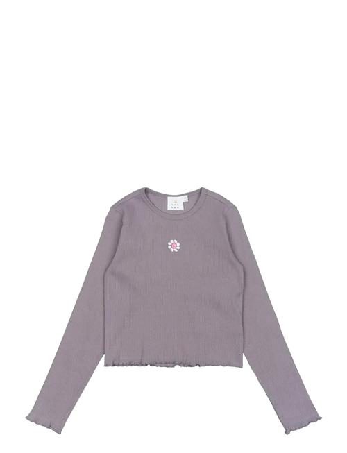 The New | Tnperrin Short L_S Rib Tee | 146/152