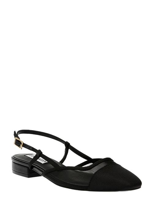 Steve Madden | Belinda-M | 37