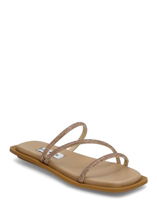Steve Madden | Safi Slide | 41
