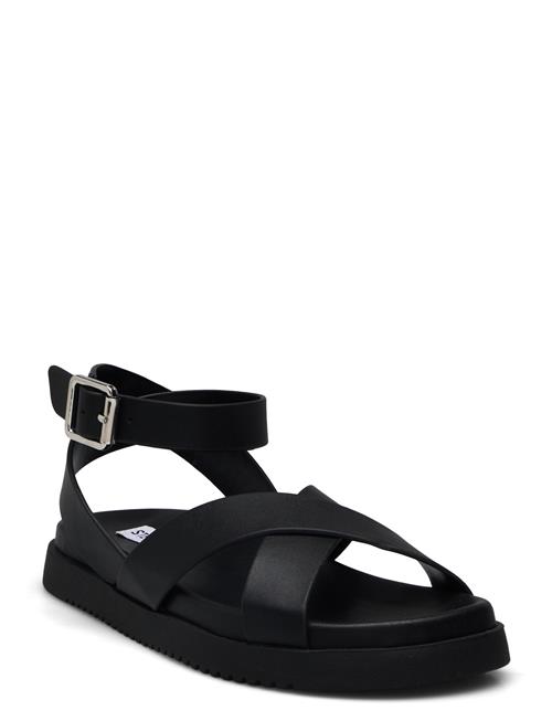Steve Madden | My Bestie Sandal | 41
