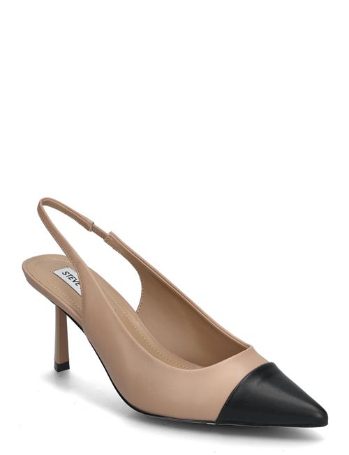 Steve Madden | Kling Sandal | 41