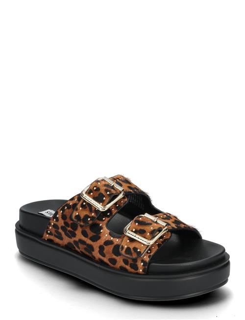 Steve Madden | Freelance-L Slides | 36