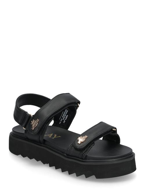 Replay | New Alicante Shield | 39