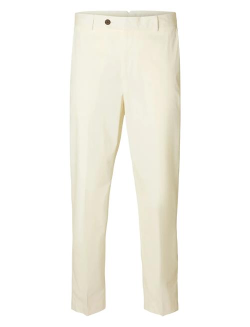 Selected | Slhreg-Tanger Trs | 50