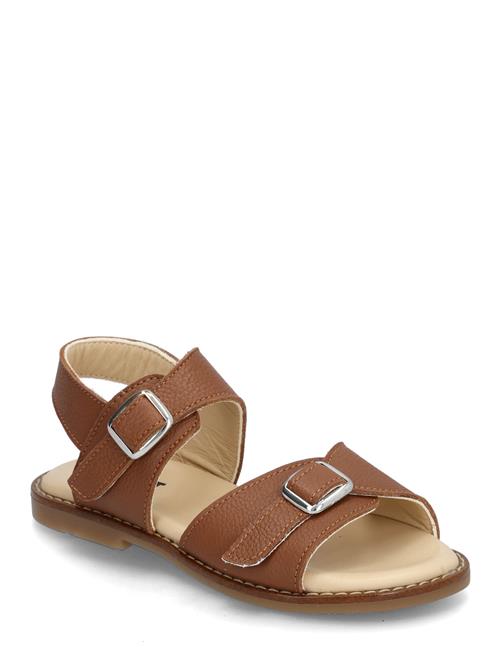 Kavat | Falsterbo | 25/15.7CM