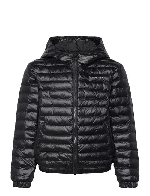 GANT | Shiny Light Padded Jacket | 170