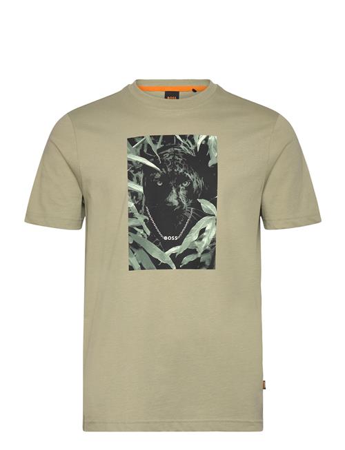 BOSS | Te_Animali | L