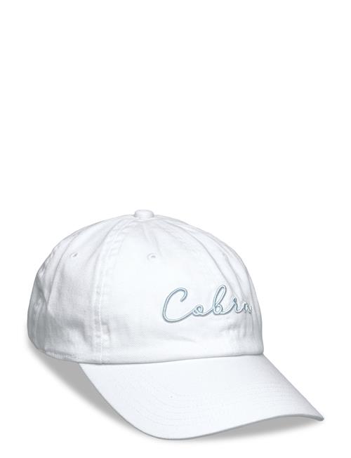 COBRA | Cobra Sunset Script | ONE SIZE