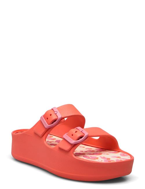 Lemon Jelly | Elvia Orange Peel | 36