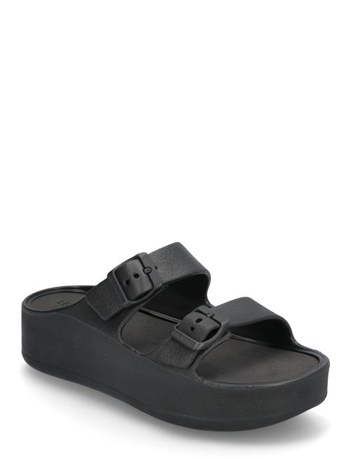 Lemon Jelly | Fenix Black | 41