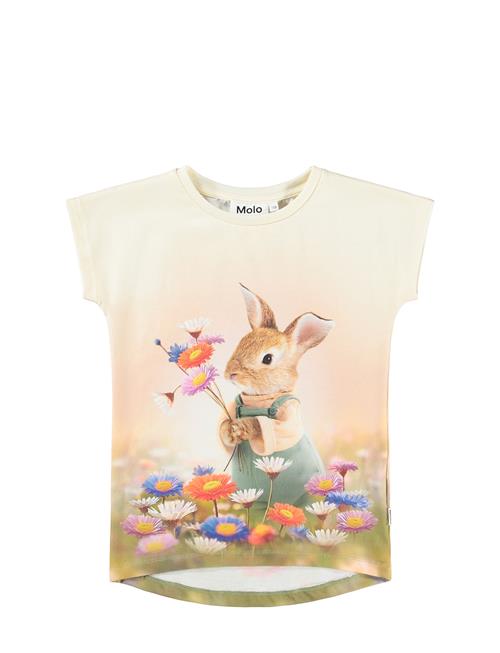 Molo | Ragnhilde | 104