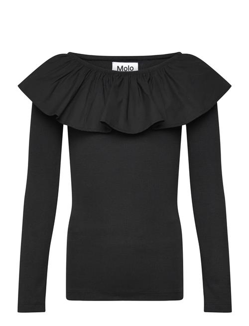Molo | Renate | 110/116