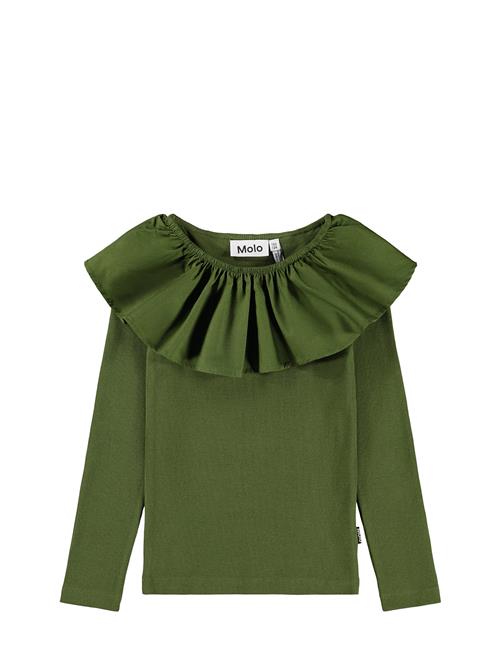 Molo | Renate | 158/164