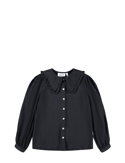 Molo | Robbin | 122/128