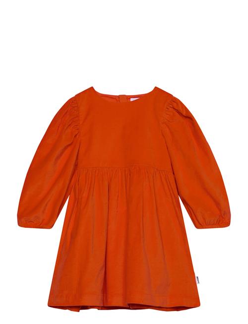 Molo | Cocos | 146/152