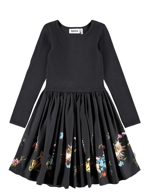 Molo | Casie | 110/116