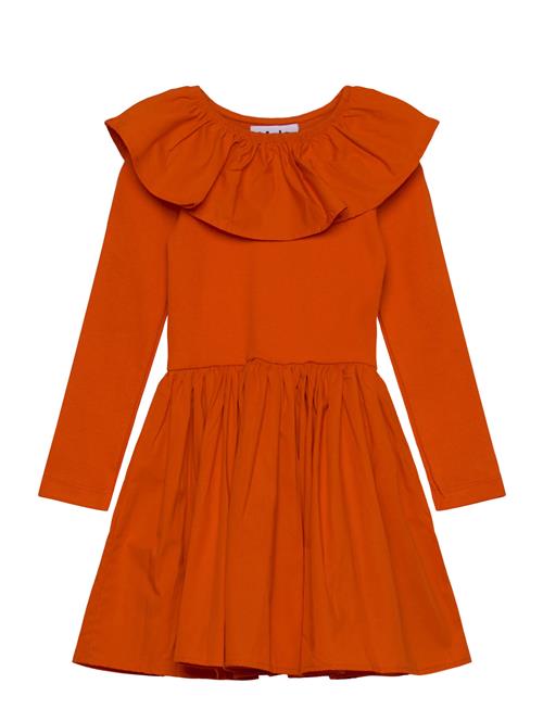 Molo | Cille | 110/116