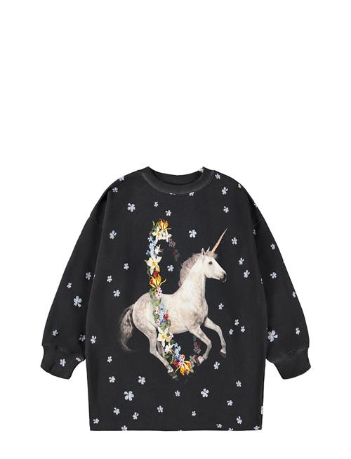 Molo | Cyrella | 134/140