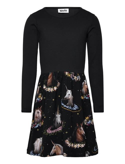 Molo | Credence | 146/152