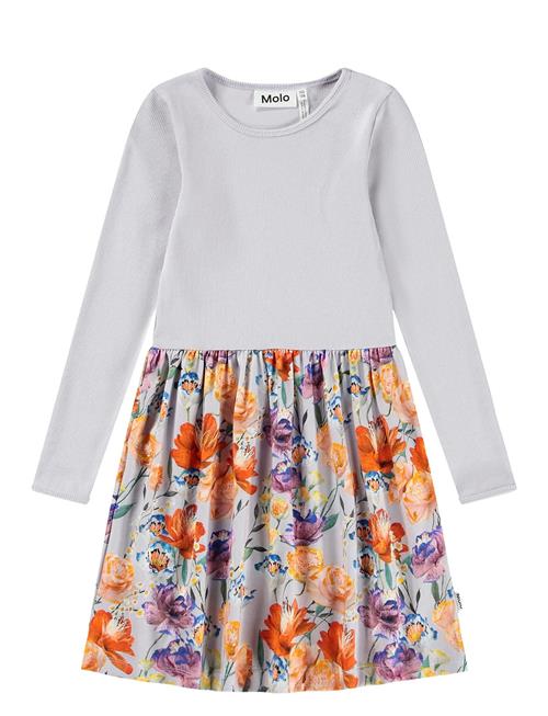 Molo | Credence | 146/152