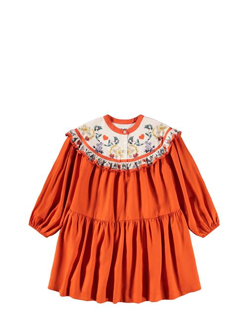 Molo | Cibbe | 98/104