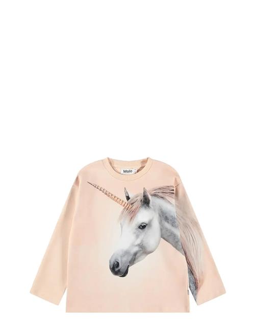 Molo | Mountoo | 110