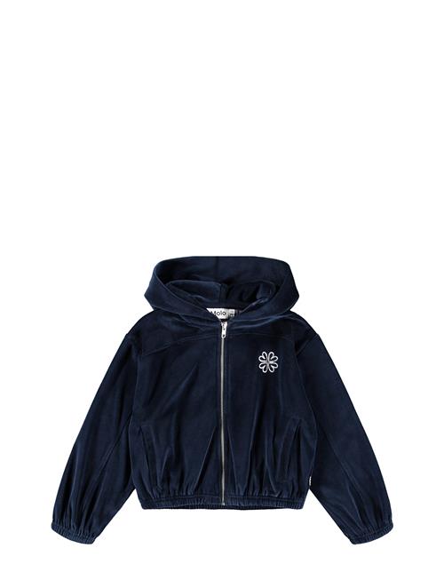 Molo | Madeleine | 98