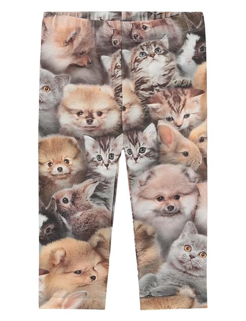 Molo | Stefanie | 104