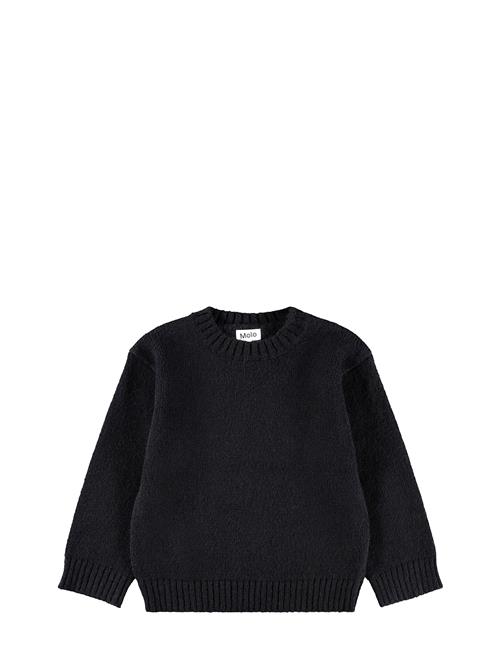 Molo | Brian | 122/128