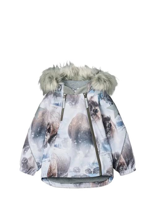 Molo | Hopla Fur | 122