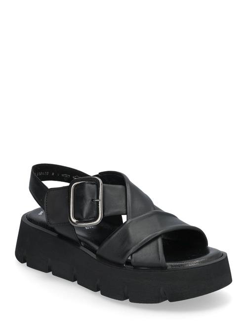 Gabor | Sandal | 37