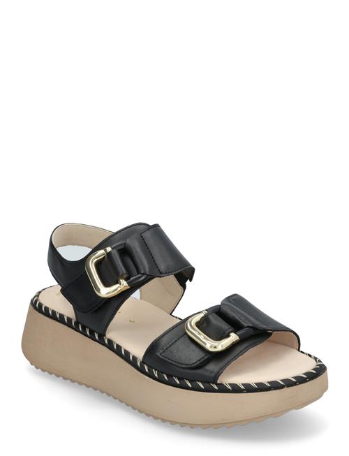 Gabor | Sandal | 41