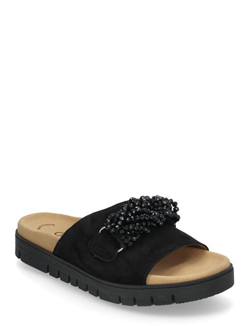 Gabor | Slip-In | 40