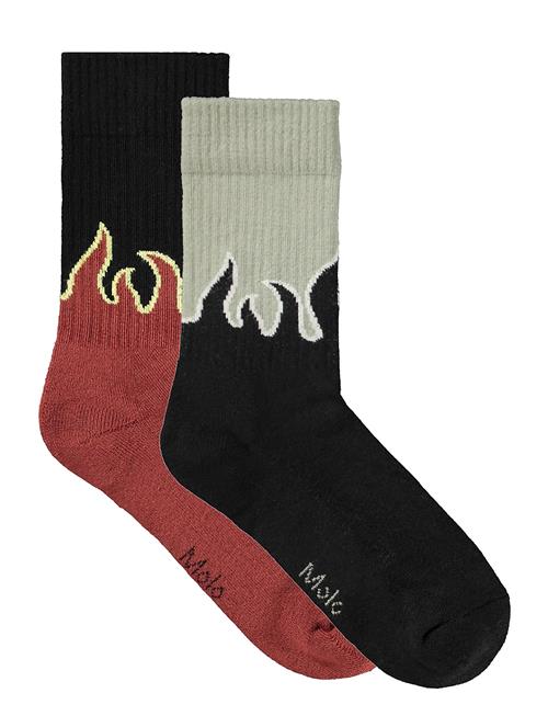 Molo | Norman | 23/26