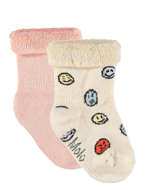 Molo | Nodda | 23/26