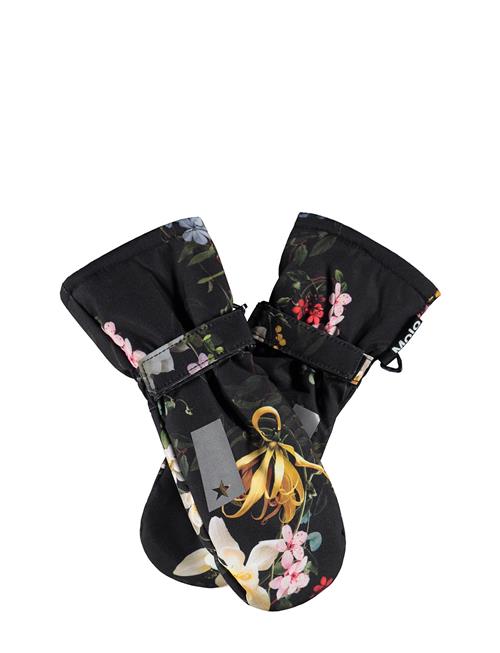 Molo | Mitzy | 9-12Y