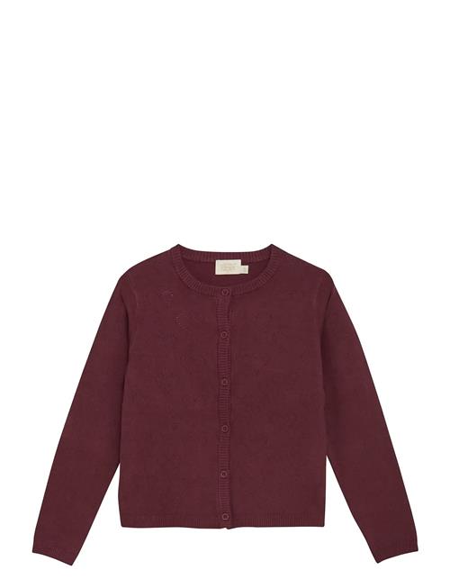 Creamie | Cardigan Pointelle | 122