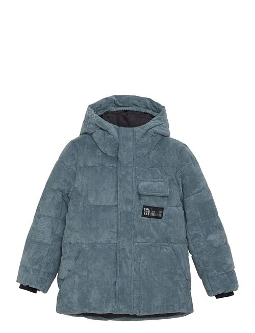 Color Kids | Jr. Puffer Jacket - Corduroy | 152