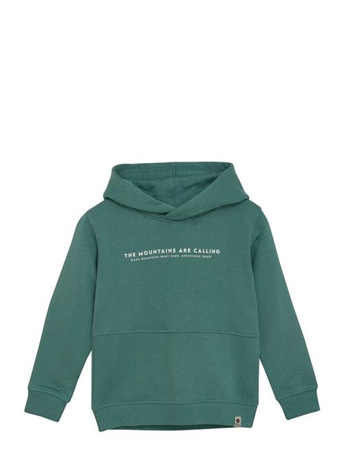 Daily 7 | Hoodie Backprint | 104