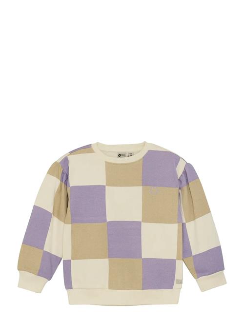 Daily 7 | Sweater Check | 122