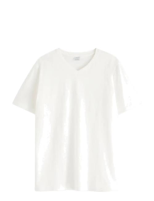 Lindex | T Shirt V Neck | 146/152