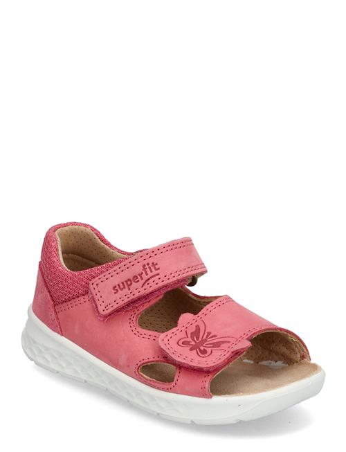 Superfit | Lagoon | 19/11.9CM