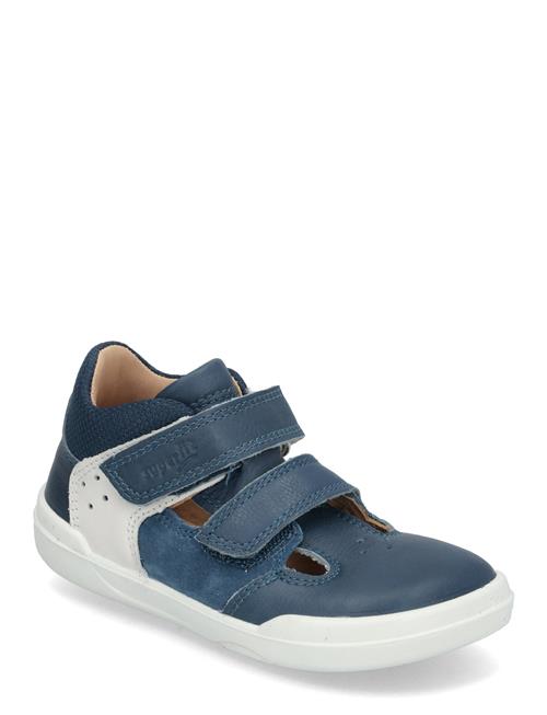 Superfit | Superfree | 24/14.9CM