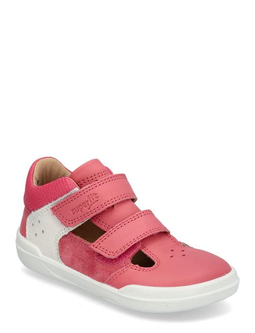 Superfit | Superfree | 23/14.3CM