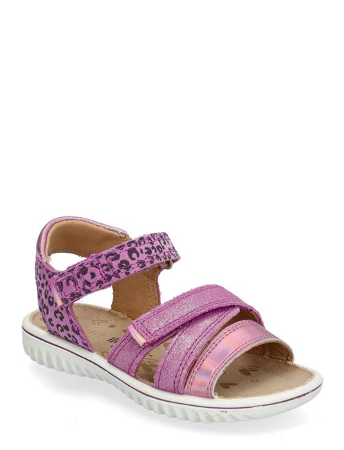 Superfit | Sparkle | 31/19.3CM