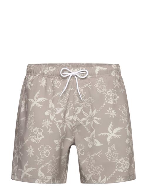 Hollister | Hco. Guys Swim | L