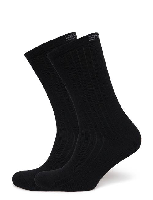 Exani | Ullstrumpa 2-Pack W | 37-40