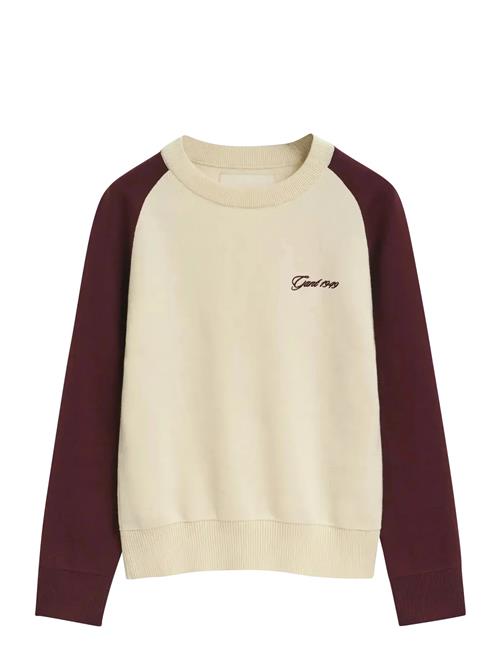 GANT | Color Blocked Cotton C-Neck | XL