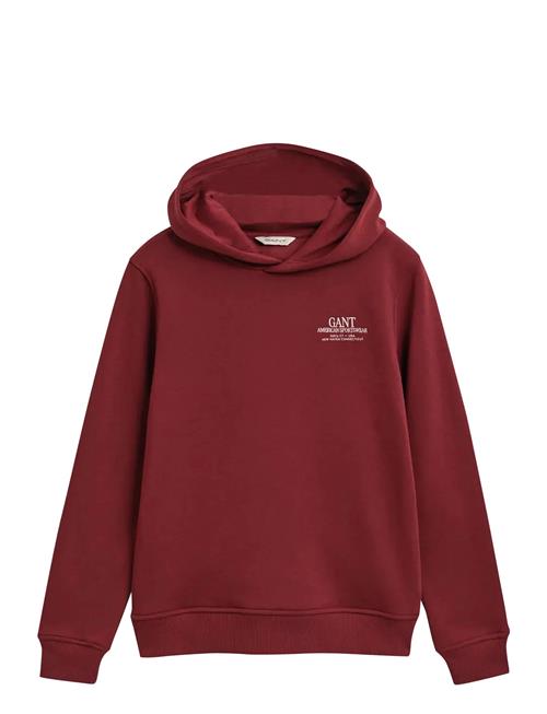 GANT | Graphic Hoodie | 134-140